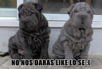 /album/fotos/a381607-385319844885781-30034777-n-jpg/